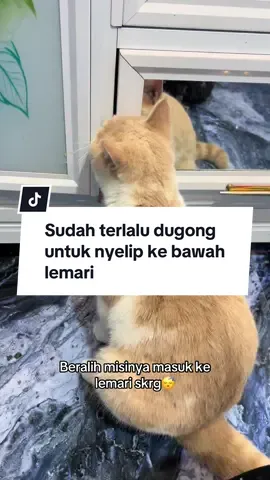 Hobby baru garuk