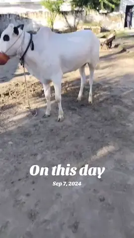 #onthisday