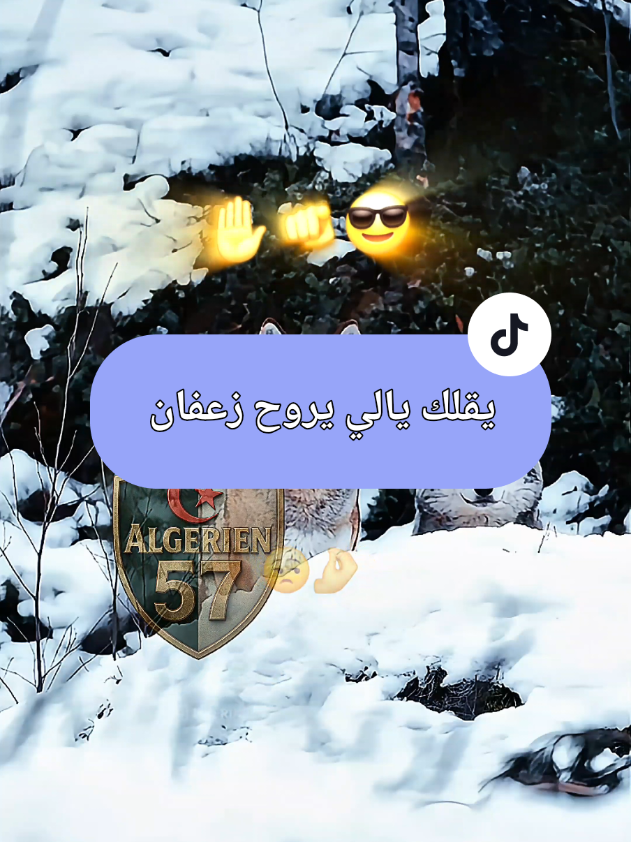 يقولك يالي يروح زعفان  @L3oumda Officiel 🇩🇿 #Algérien57 #غراب_الواحة #تصميم_غراب_الواحة #جيش___العمدة #الجزائر🇩🇿_تونس🇹🇳_المغرب🇲🇦 