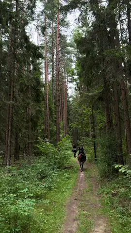 @21.790 @RAHO @Юля 🧸 