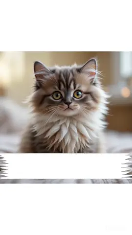 #FunnyCatvibes#LipSynCat#PunjabiCat#CatTalkPunjabi#Catpunjabistyle#LipsyncChallenge#FunnyPunjabiCat#Desicat#Catlofelnpunjabi#punjabiMastiWithCat#CatAndPunjabiSwag#TalkingCat#desiCatvibes#Catlife#Meownpunjabi#Funnycatlife#PunjabivibesWithcat#Funnycatlife#HilariousCat#Catjokeslnpunjabi#TalkingAnimals#LipsyncMasti#CatcomemdyGold#Funnypunjabivibes
