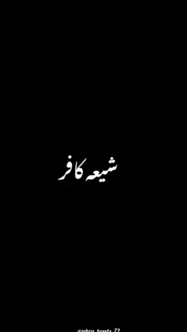 اور لوگ کہتے ہیں تیرے عشق کافر مجھ کو  اور میرے دل کو یہ الزام بھلا لگتا ہے  ❤️ #labbik_ya_hussain #janatulbaqi  #like #follow #share 