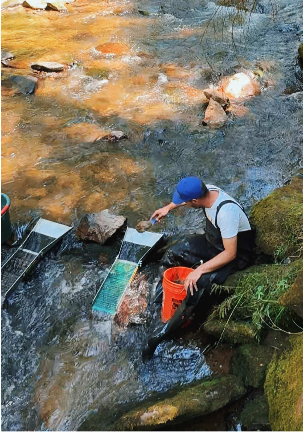 River gold from bavaria #gold #goldpanning #goldmining #goldnugget #goldrush 