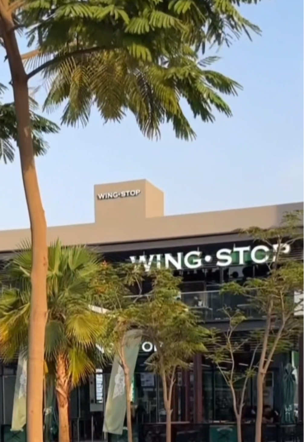 📍 wingstop, jeddah ⭐️⭐️⭐️⭐️⭐️ @WingstopSaudi soooooo good i’m craving it so badd🫩 #wingstop #chickenwings #wingstopmukbang #جدة #جدةtiktok 