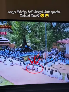 My patience is waning, is this entertaining? 😂💀 #funny #srilanka #tiktok 