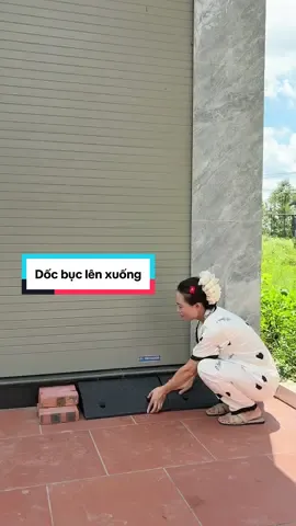 Dốc bục lên xuống xe #tiktokshop #minhanhpham #docbuclenxuong 