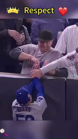 MLB Reckless Fans❤️#baseball #MLB #respect #sports #foryou