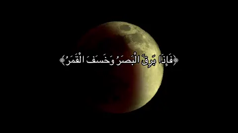 #بدون_هشتاق 