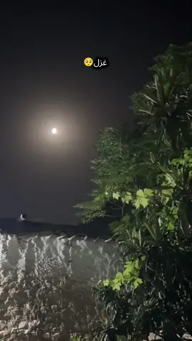 #virlvideo #fouryoupage #poetry #ghazal #🥺🥀💔 