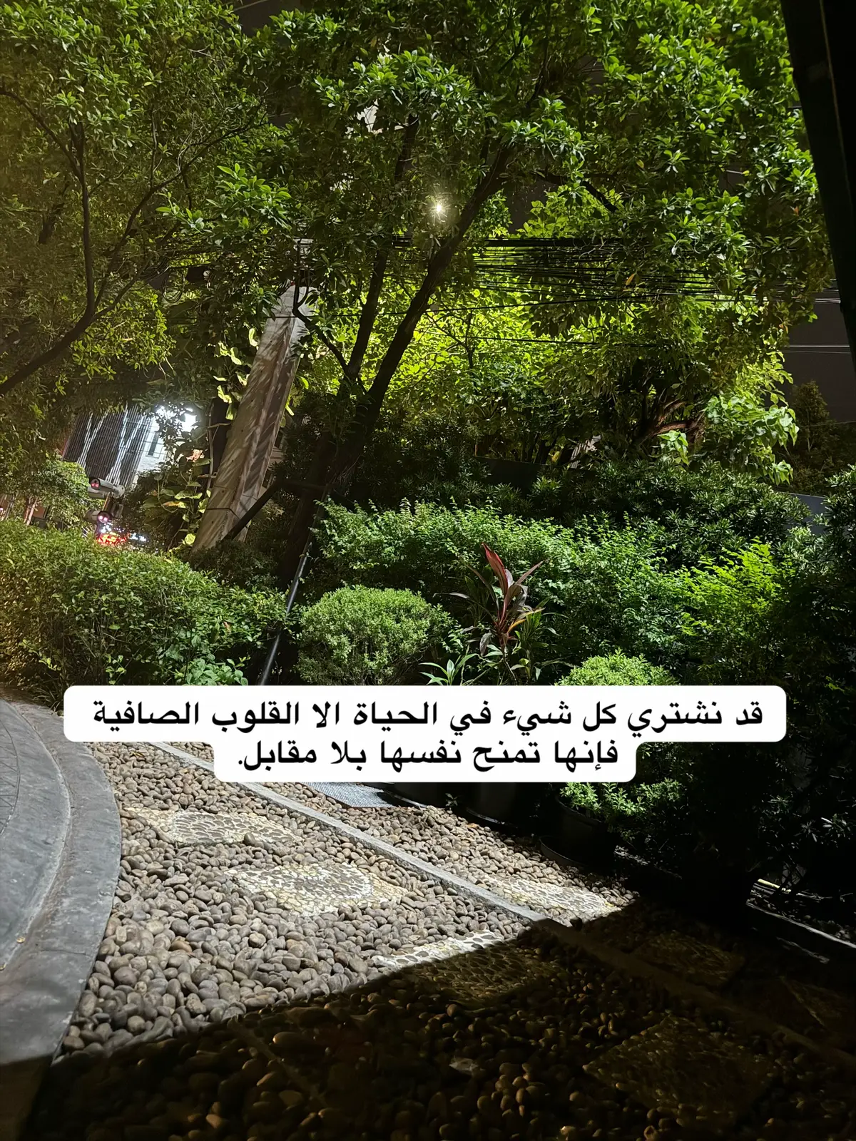 #مالي_خلق_احط_هاشتاقات 