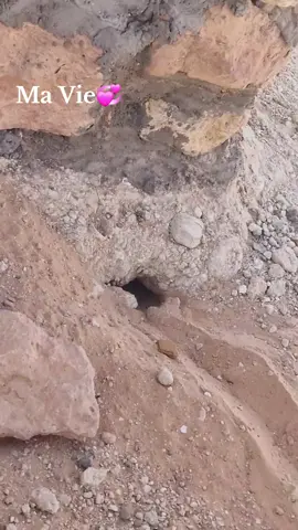 شيري ها شيري🤍
