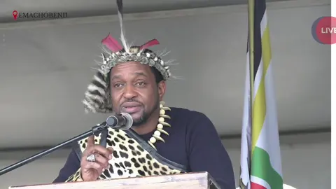 Libhongile iBhubesi izolo eMachobeni kwananela izintombi zomhlanga. #kingmisuzulukazwelithini #viral #umkhosiwomhlanga 