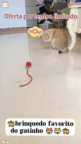 Assim o seu cachorro ou gato, vai brincar o dia todo e quando chega a noite ele dorme como pedra. O bom é que ela é siliconada. Sem falar que esse Brinquedo é adeal pra quele animal zinho que fica modendo chinelo,sapatos,estofados e tapetes. Na verdade o melhor mesmo é que ele está com valor promocional aqui no TikTok. #cachorro #gato #animalzinho #mulher #tiktokshopbrasil 