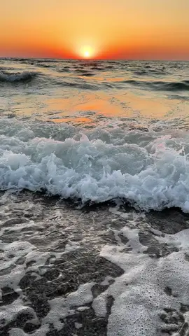 #sea #rec #