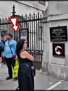 Part 2: The King's Guard Presses the Emergency Button 🆘 The Disrespectful Woman 😡#thekingguard #kingsguards #peterellis #horseguardsparade #usa🇺🇸 