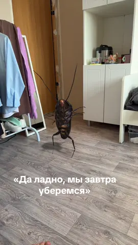 тгк: маруся #рекомендации #общага #foryou #ргуимкосыгина 