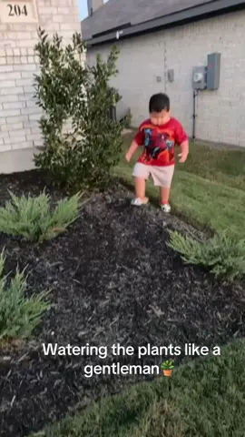 Daily watering around here #fyp #toddlersoftiktok 