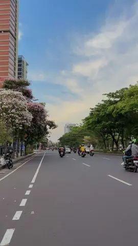 surabaya with tabebuya #tabebuya #tabebuyasurabaya #surabaya #surabayaview 