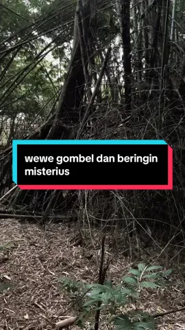 wewe gombel penjaga beringin misterius karawang #fyp #horror #bangdullofficiall #angker #hutan 
