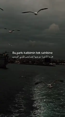 ❤️🫶 Bu şarkı   #اكسبلور #aşkım #turkey🇹🇷 