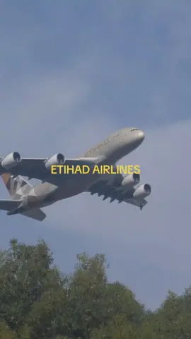 AIRBUS FLYING BIRDS IN THE SKY A380 #aviationgeek #aviation #airplane #plane #viral @Airbus 
