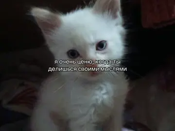 Даша зай ка