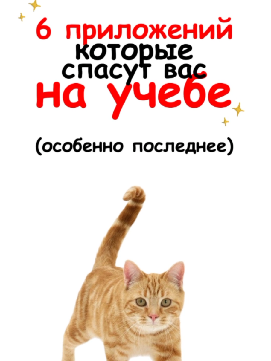 6 приложений которые спасут вас на учебе