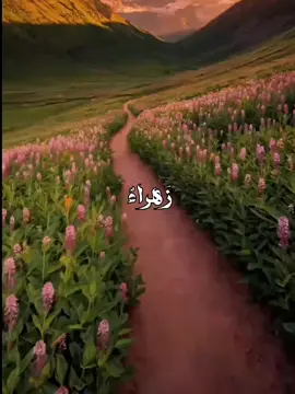 أكثر قصيده أحبَهها هيَ الاخيره😔💚💚. #زهراء #الشعب_الصيني_ماله_حل😂😂 #باسم #صعدو_الفيديو #قصائد 