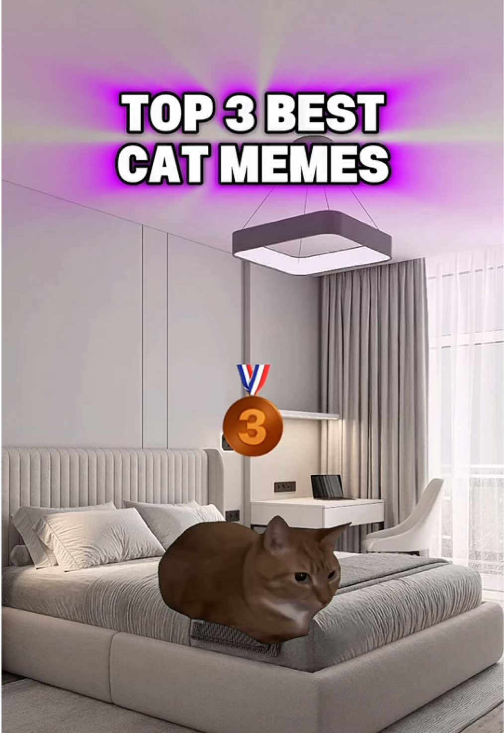THE BEST CAT MEMES🚀 #kitten #memes #cat 