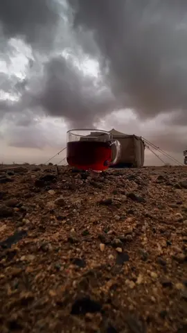 #تصويري_اكسبلور 🍂🐪