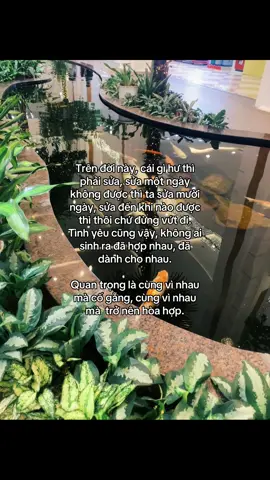 #storytinhyeu #caption #buon_tam_trang #xuhuongtiktok #viral 