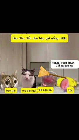 lần đầu ra mắt nhà bạn gái kiểu #meme #memecut 