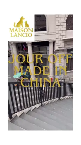 Jour off en Chine 🇨🇳✨ Balade dans des marchés d’électronique, plein de découvertes et d’inspirations incroyables. Pour rester ouvert, il faut s’ouvrir au monde 🌍 Fier de ces moments et motivé à fond pour la suite avec Maison Lancio 🐾💛 #Chine #Inspiration #Voyage #MaisonLancio #Business 