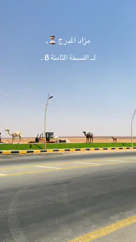 🐪🤍.#مزاد #مدرج #القصيم #بريده #ابل #جنوب #بيع #حراج #شري #مهرجان 