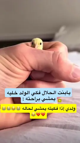 سناااااب بالبااايو تعالو ❤️