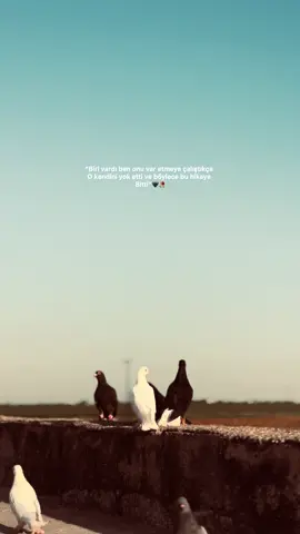 Yokmu yürek yakan sözlerinizi🥀#albunukesfet #keşfetbeniöneçıkar #keşfettiktok #kuşsevdası #storlikvideolar 