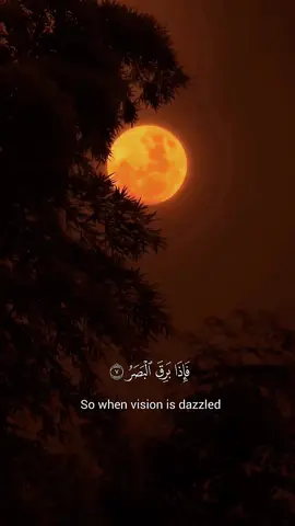 اللهم ارحمنا اذا برق البصر وخسف القمر وجمع الشمس والقمر 🤍خسوف القمر 🌕🥺 #creatorsearchinsights #ياسر_الدوسري #خسوف_القمر #القمر #الأحد 