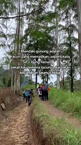 #pendakigunung #pendakiindonesia 