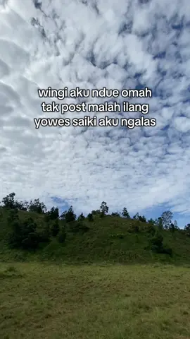 info ketinggian lg dongg