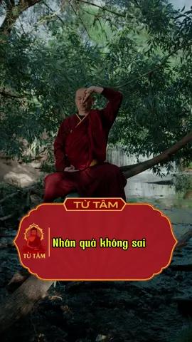 Gieo nhân nào, gặt quả nấy. Nhân quả không sai.. #lienhoa #phatphapnhiemmau #phatphap #xuhuong 