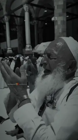 اور میں اپنا معاملہ اللہ کے سپرد کرتا ہوں #quran #quranmajeed #islamic_video #urduqurantranslation #quranrecitation 