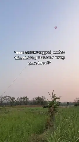 tapi Iki Dudu soal layangan🫠 #pelayangdesa #ramramanbanyuwangi #seputarlayangan #xybca #fypシ゚viral 
