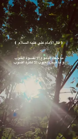 قال الأمام علي عليه السلام ﴿أفضل الإدب أن يقف الإنسان عند حده ولايتعدى قدره﴾.                                        #اللهم_صل_على_محمد_وآل_محمد #تصميم_فيديوهات🎶🎤🎬تصميمي🔥 #لايكاتكم #علي_بن_ابي_طالب #جزء 