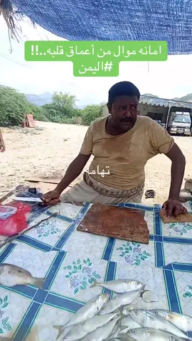 امانه موال من أعماق قلبه..!! #اليمن#تهامه 