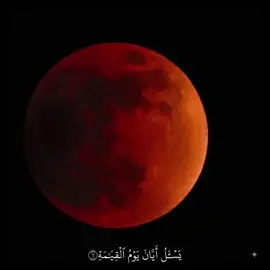 يَسۡـَٔلُ أَيَّانَ يَوۡمُ ٱلۡقِيَٰمَةِ#ياسر_الدوسري #القران_الكريم #alquran_alkareem0 #سورة_القيامه 