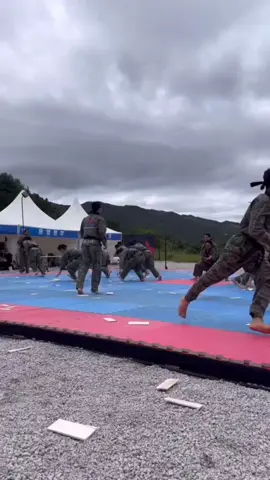 #tkd #taekwondo #lee25dragon #kick #viraltiktok #foryoupage #taekwondokicks #korean #fypシ゚viral 