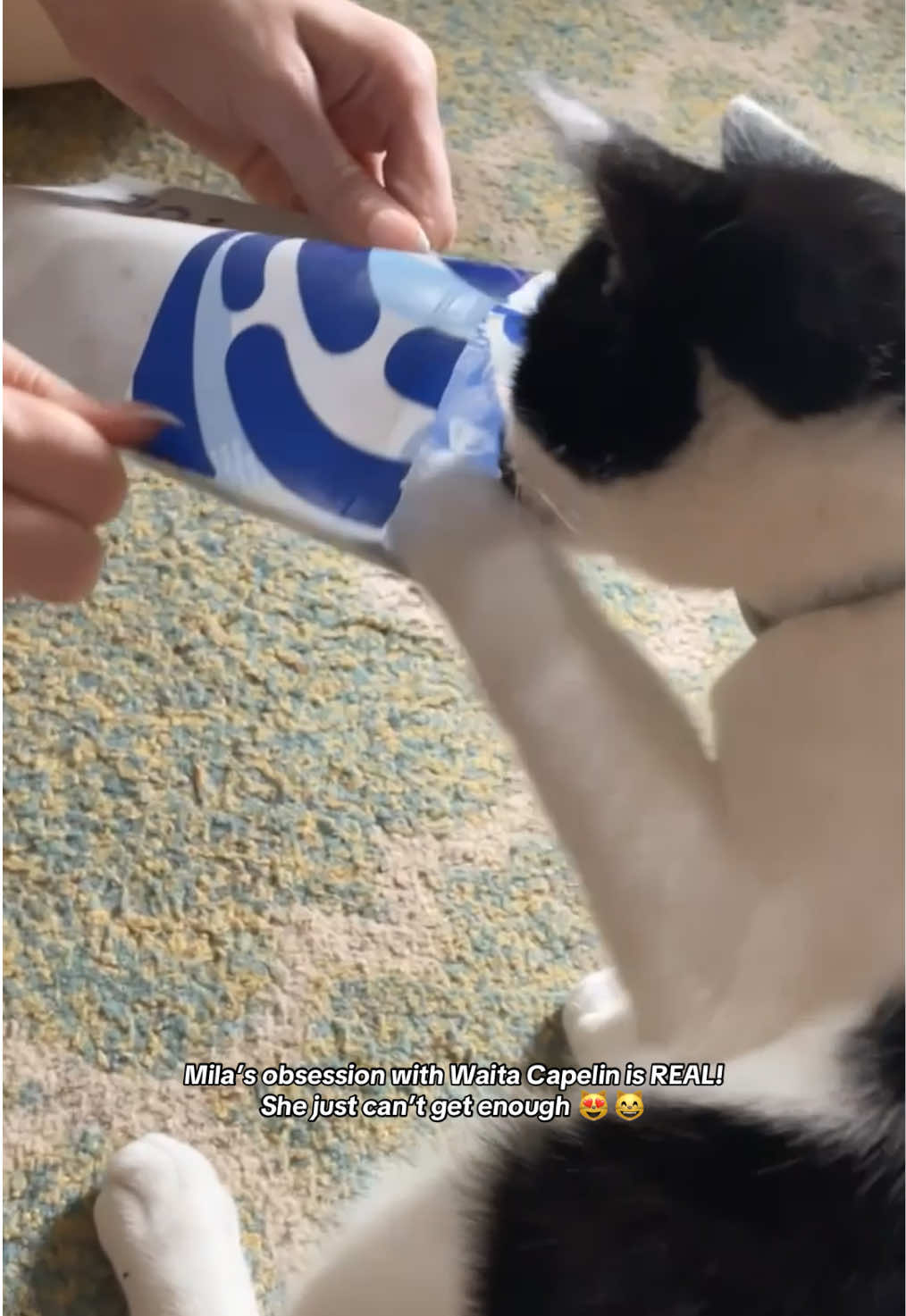 Treat your fur babies to some @Waita Pets Capelin and let them experience the love too! 😻😸  Check Waita’s freeze dried Capelin out in the yellow basket!  Cats & Dogs from 12 weeks can dig in and enjoy these treats.  They are full off Omega-3 & protein. They will also help your cat or dog have a healthy and shiny coat, healthy skin and stronger joints 😻😻 #kitten #cattreats #waitapets #catfood #freezedriedtreats 
