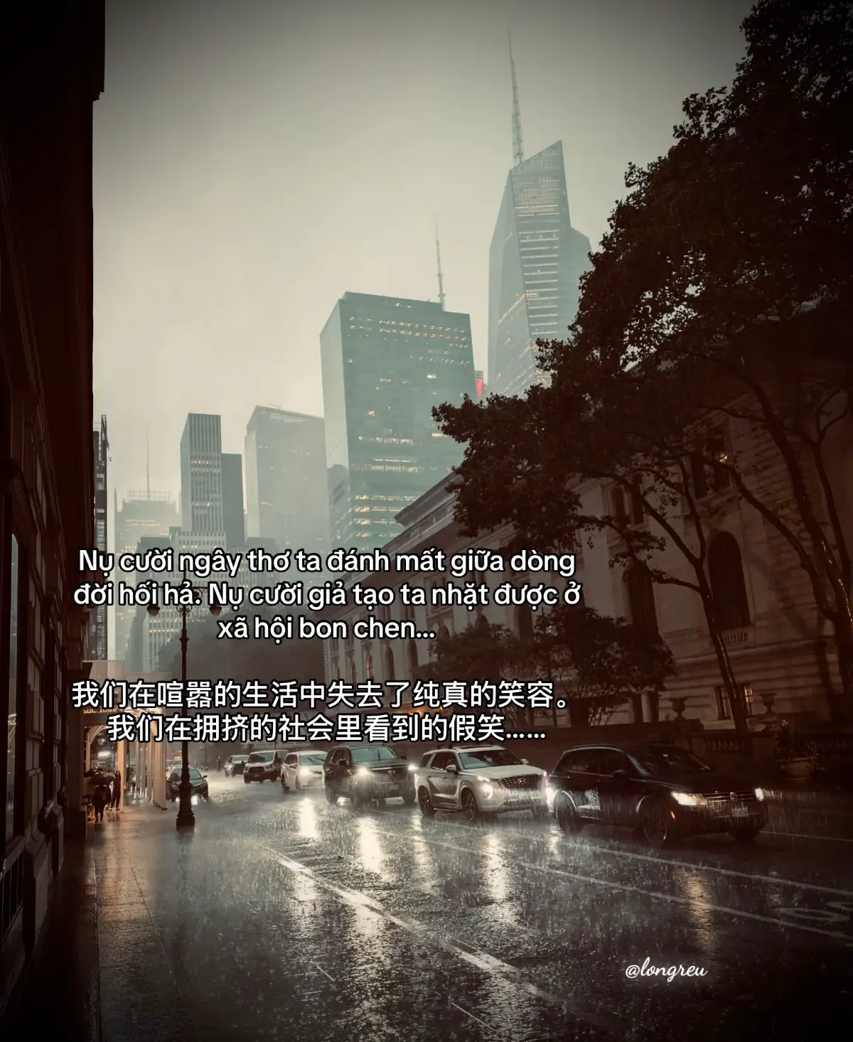 Nụ cười ngây thơ ta đánh mất giữa dòng đời hối hả. Nụ cười giả tạo ta nhặt được ở xã hội bon chen… 我们在喧嚣的生活中失去了纯真的笑容。我们在拥挤的社会里看到的假笑……#fypシ #longreu #xahoi #xuhuongtiktok #cuocsong 
