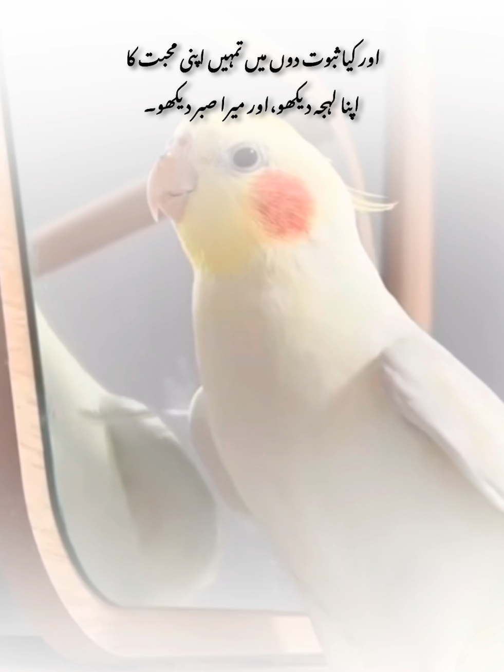 ❤️‍🩹🥹#foryou #flypシ #1millionaudition #poetry #myousaf 