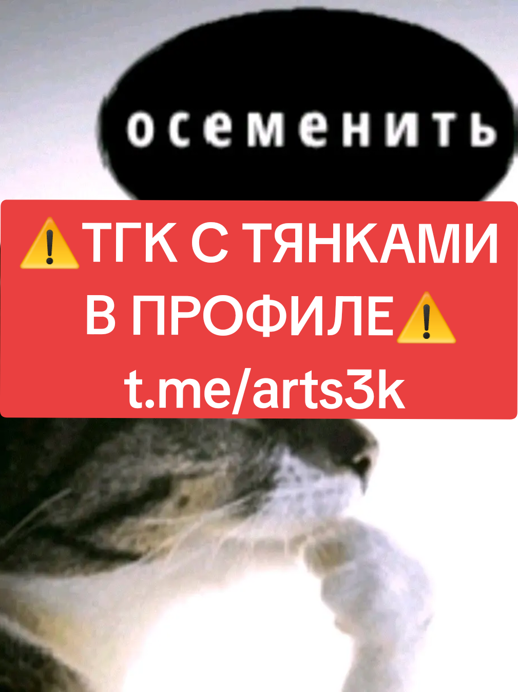 ‼️TГ C XEHT0M B БИO‼️ #рек #арты #тянки #найкпро 